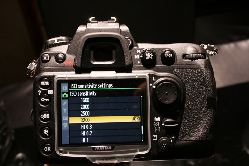Illustration for article titled Hands On D3 and D300 Impressions: Beefy and Beautiful